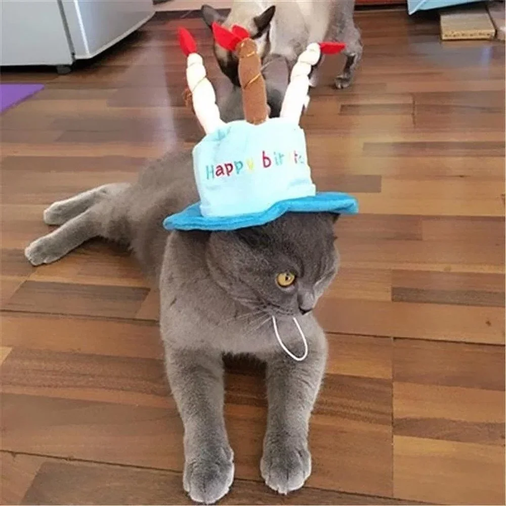Blue Hat Cap Cake Candles Pet Birthday Costume Cosplay Puppy Dog Cat Chr…